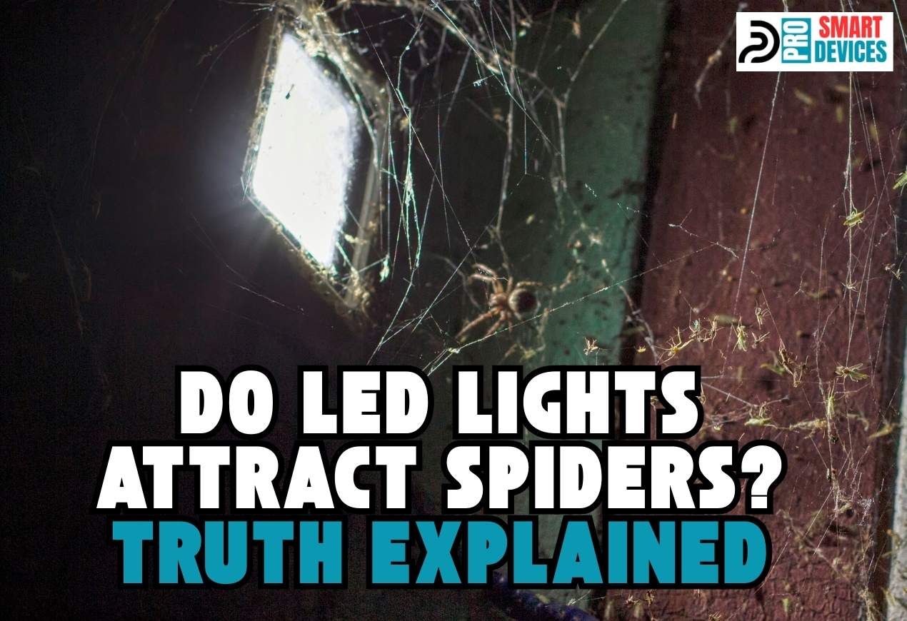 Do LED Lights Attract Spiders